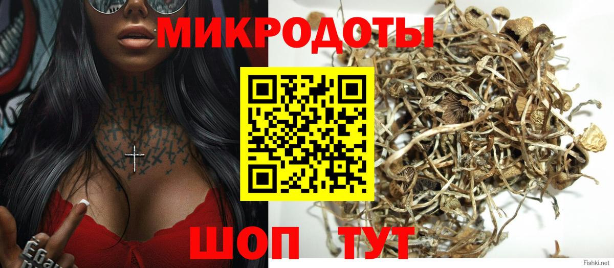 Псилоцибиновые грибы мицелий Кропоткин