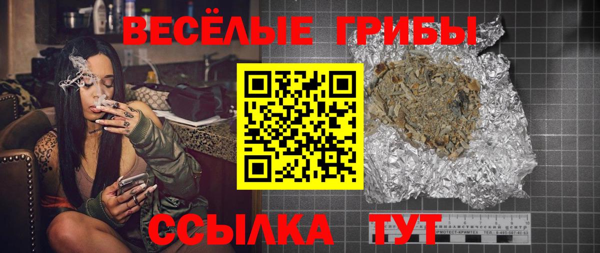 Кропоткин  наркотики  Вход с VPN  Псилоцибиновые грибы Psilocybine cubensis 
